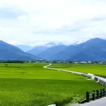 rice-fields-7230362_1280